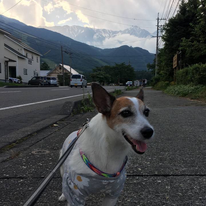 7d8fabe6 9d4a 4a5b 9c6c 48c48a37e598 1626995577803