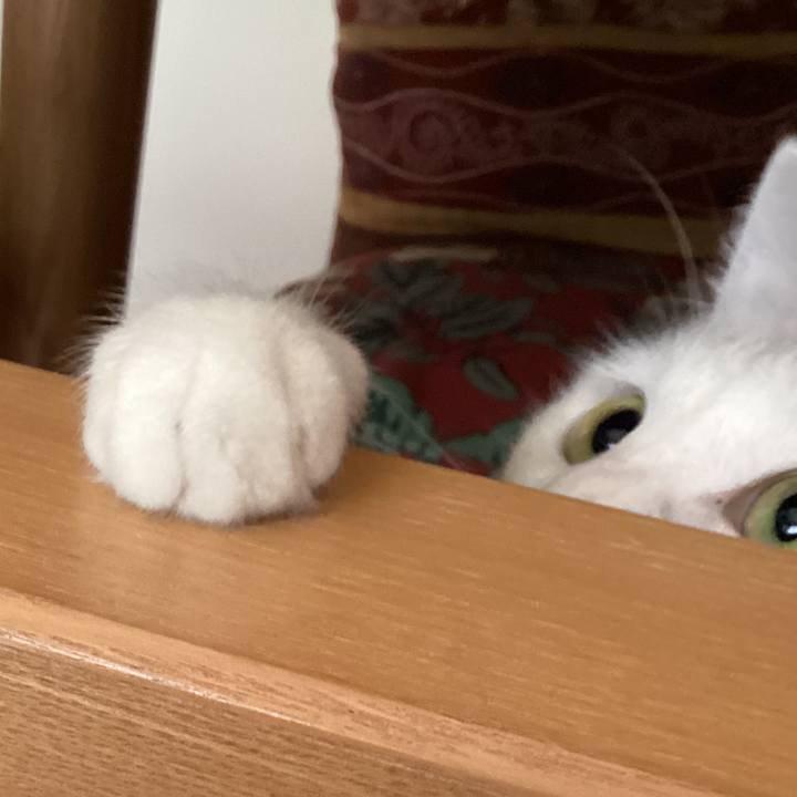 7d8fbd85 cfce 4209 abb2 bea30cf8d21e 1666130638466