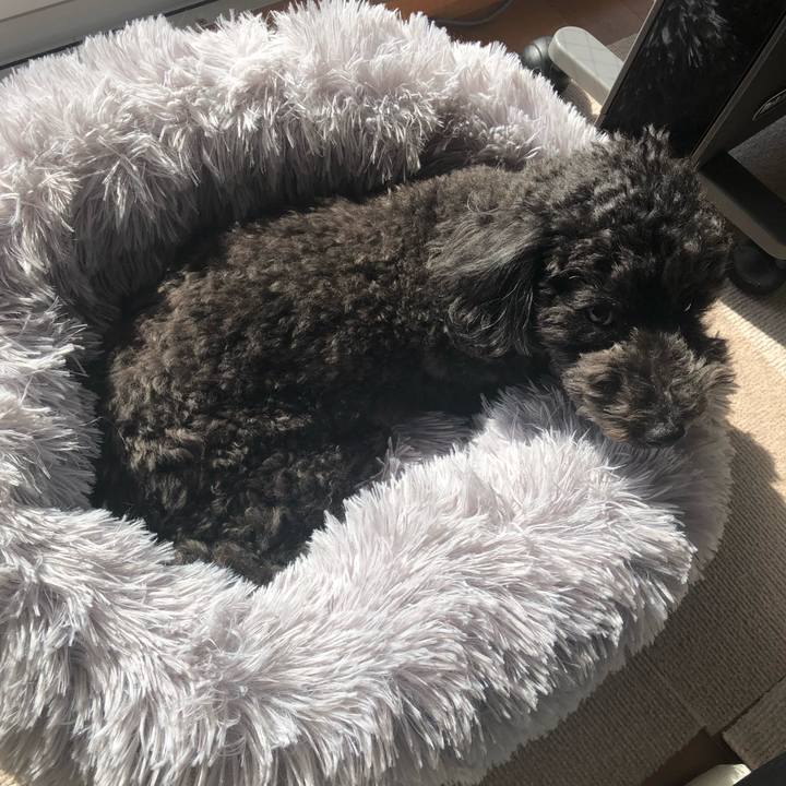 7d8fcf1b 1ce6 4d49 ba58 7092d3393cce 1613825635599