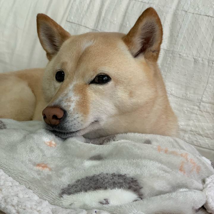 7d8ffa03 07a4 4a35 8f70 a41b2e758f58 1614646996671