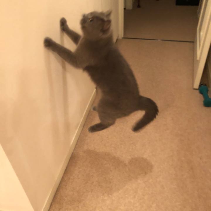 7d900220 e082 4f1b a4aa 42f23439f8ae 1527077954435