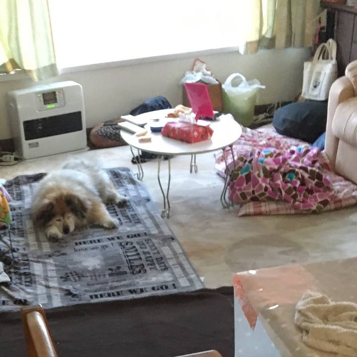 7d90067a c828 4a64 89fe 046f906d27e1 1582359645328