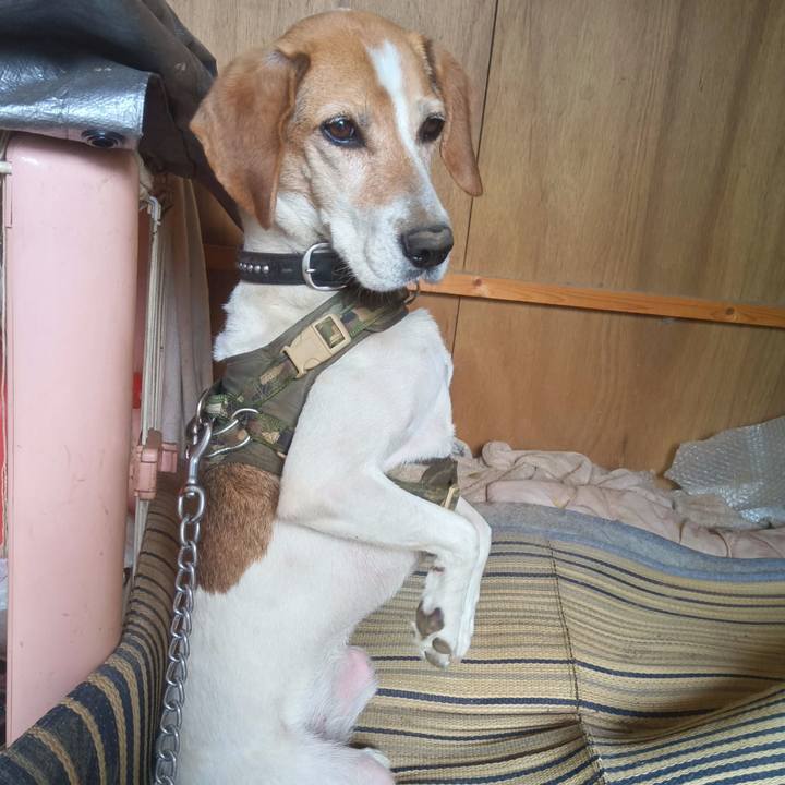 7d9043aa a575 4939 a19e 4d2e530fe7b0 1718620830180