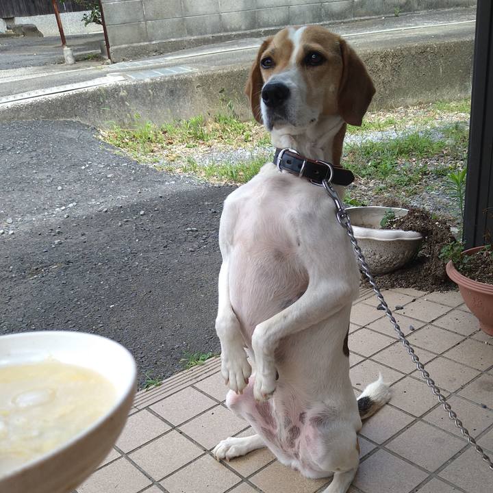 7d904f12 8409 4ce6 ad53 98db2cf61135 1626498137432