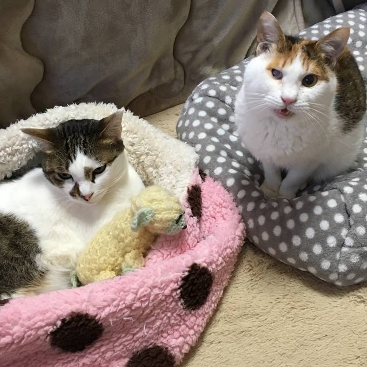 7d906f29 31de 4d75 b5af 190369f4a82a 1521291341983