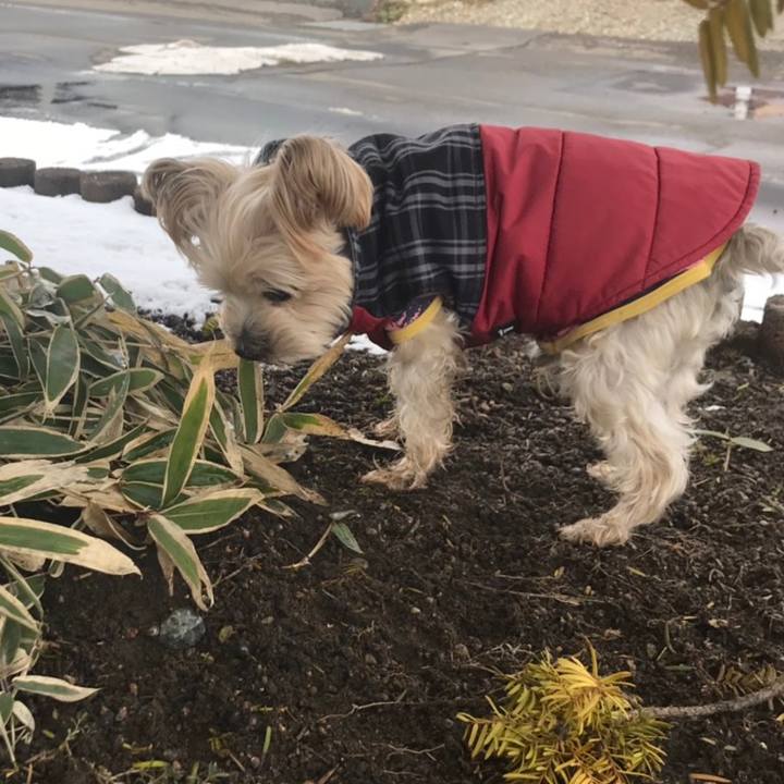 7d9090f6 bf94 4139 a11d 35d13ebeeebf 1554098777303