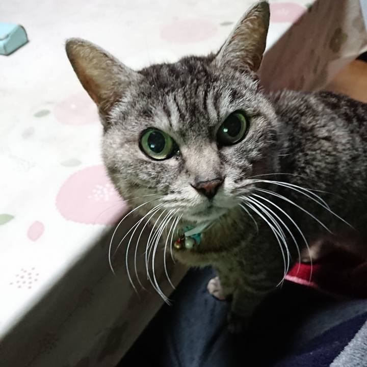 7d9097a9 df47 4098 b0e6 d909159ed55d 1553719977999