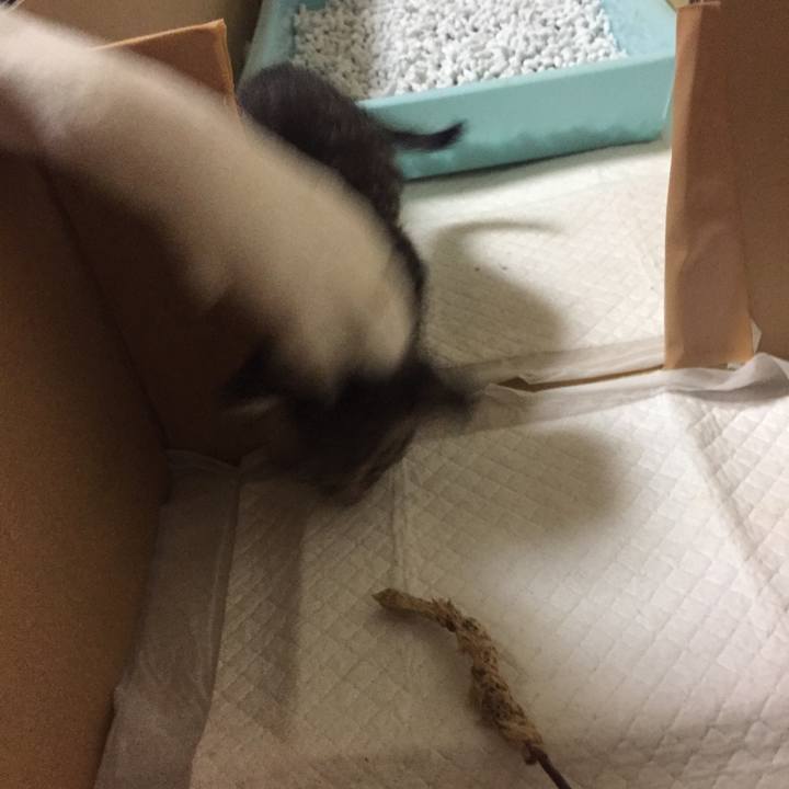 7d90ab5c 8ba8 47af 8dd3 6e5983de7520 1532999032667