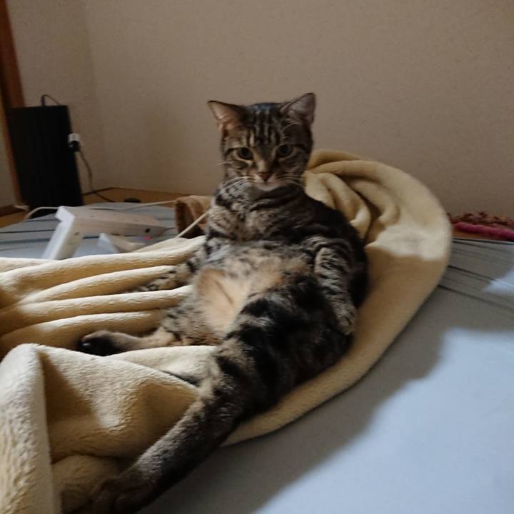 7d90df35 0f19 485b a5bc 246768ae8bfa 1572739688614