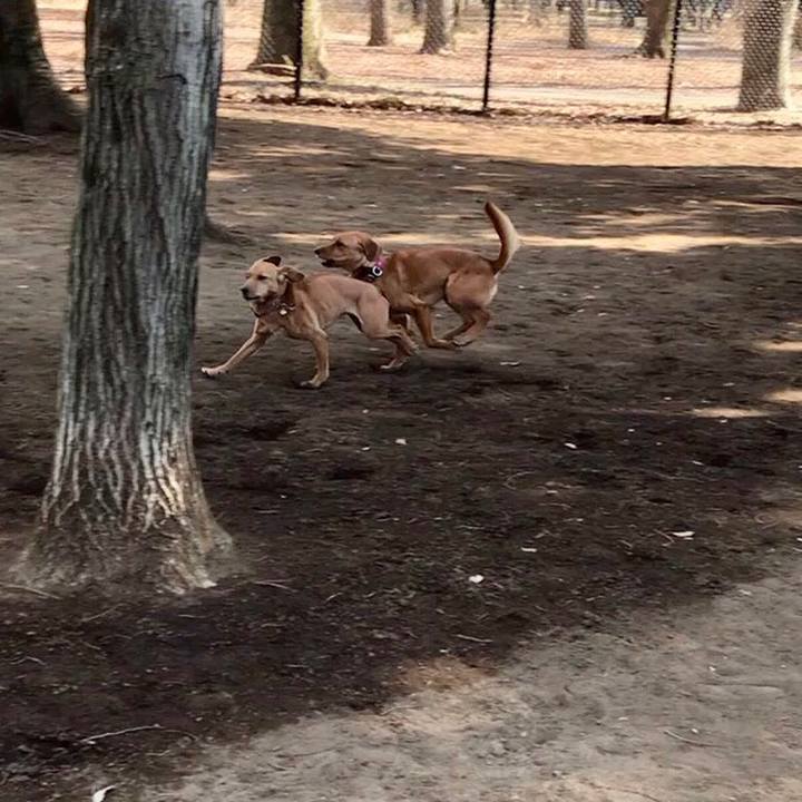 7d91246f 14e1 45c1 a01b e06fc0885103 1518427361433