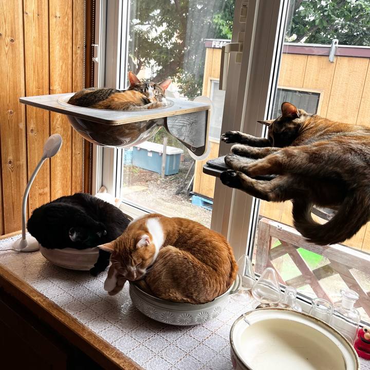 7d912a1b df45 4ae1 ba39 7ac49674c743 1722313090039