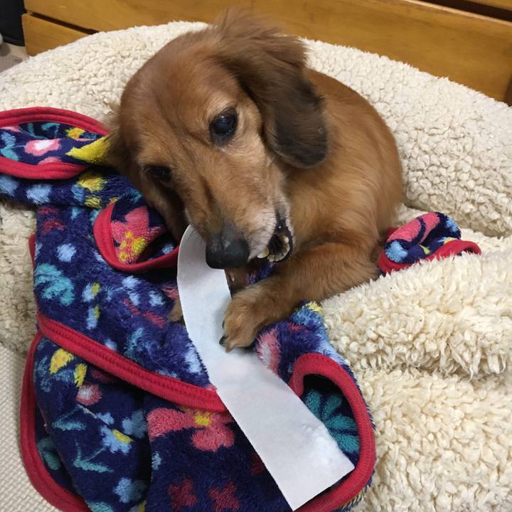 7d9133e1 c77d 417a 9ecd ef768d2c7a2b 1583243233075