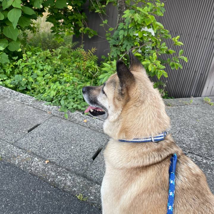 7d914521 1259 424d 9601 23f6745f59a1 1654087152685