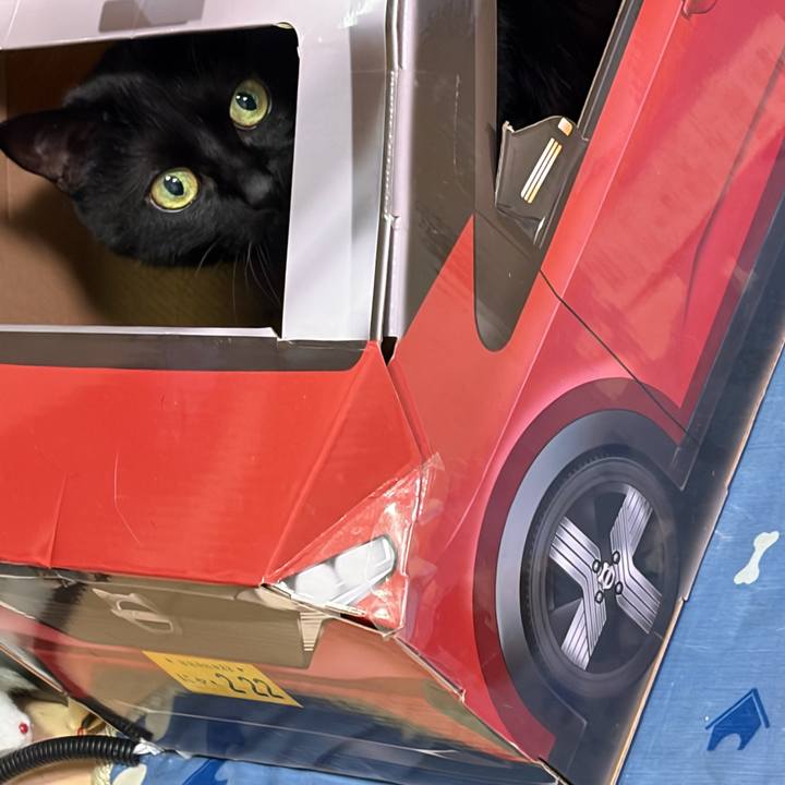 7d9157bb ea1c 4c2a 8ca1 05b9c0952c55 1770563894613