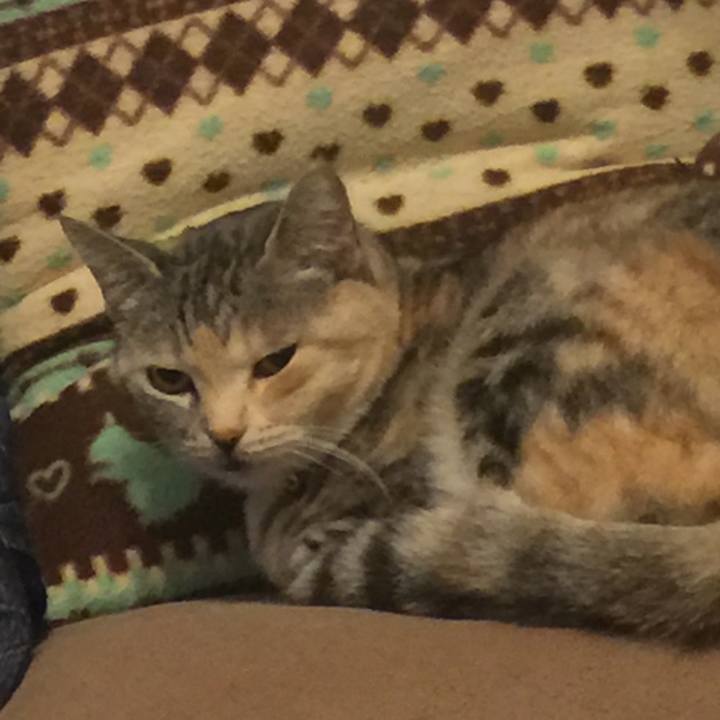 7d915a6a b210 4952 b755 5f148eef8b0c 1555942899616