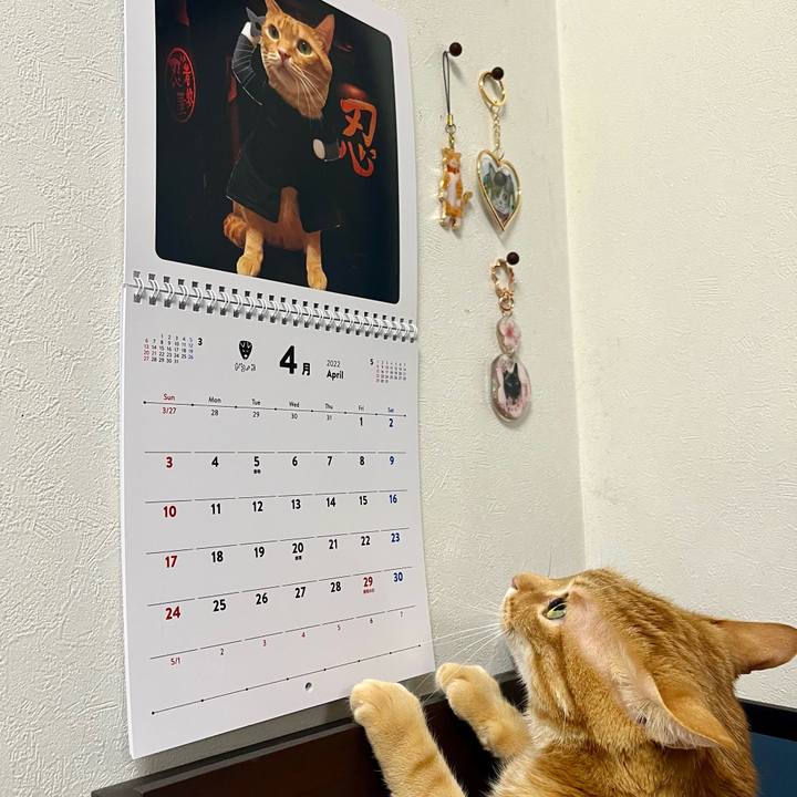 7d91930f 6440 4cb9 82f3 b416ee90cc8b 1648763053737