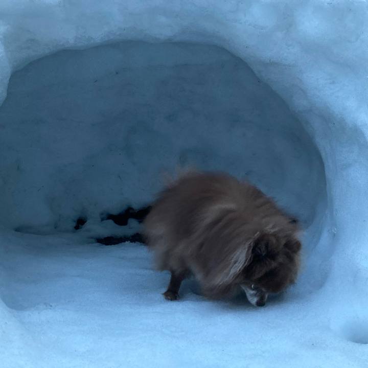 7d91f683 7a0c 48b5 843f 75b4cef74f65 1678394277040