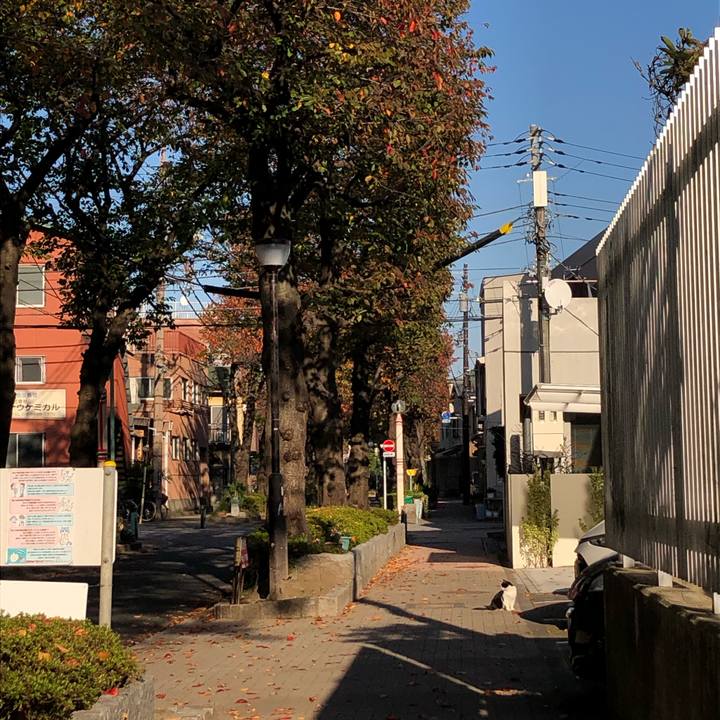 7d921521 f064 4be7 8927 f9135bf52fa3 1606145431817