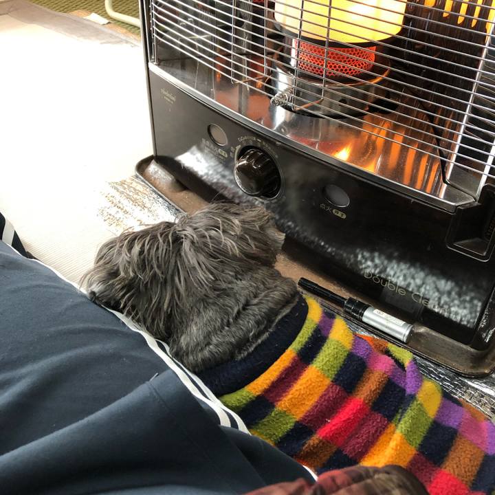 7d921e70 f4d1 40d6 afdd 8b1f472f8b45 1575162419991