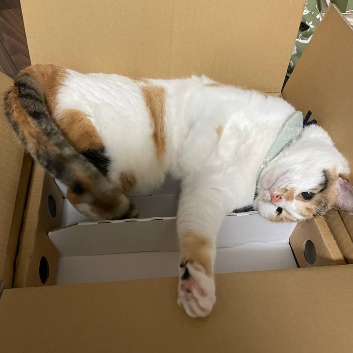 7d921ef0 4aca 41e5 95b3 f93228b74204 1677682814616