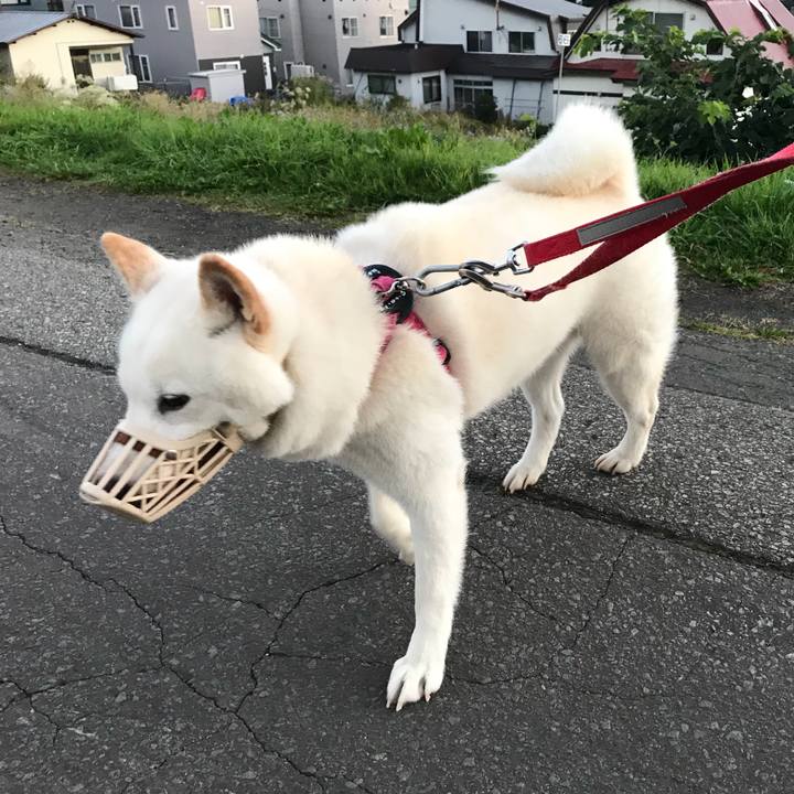 7d925d6d 25a9 4771 b3b1 0be24122a1a5 1537216817690