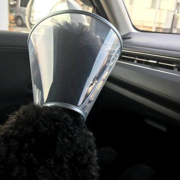 7d926d20 14de 46c9 97b6 8dfb053254c6 1519540867964