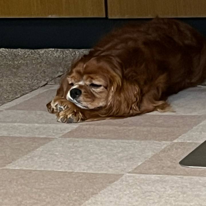 7d928027 886c 40a1 a704 3aeff7fc7f40 1695458006183