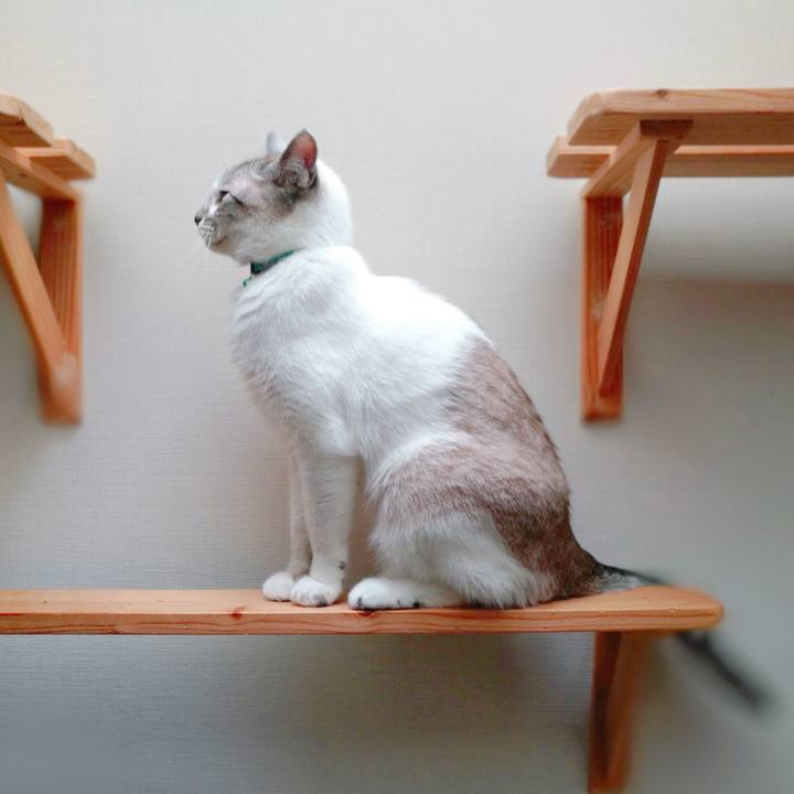 7d9282ab 20df 4913 b3d4 ef6805ad16bf 1562459262289