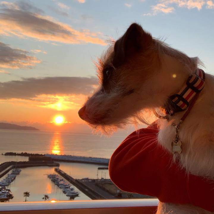 7d92b3f5 4457 4f35 9cf1 f1201d1ed16e 1775137538716