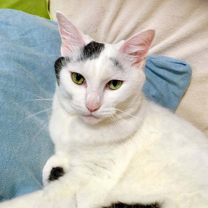 7d92bce8 af8c 4222 a9ac 1490622ace6e 1566269970710