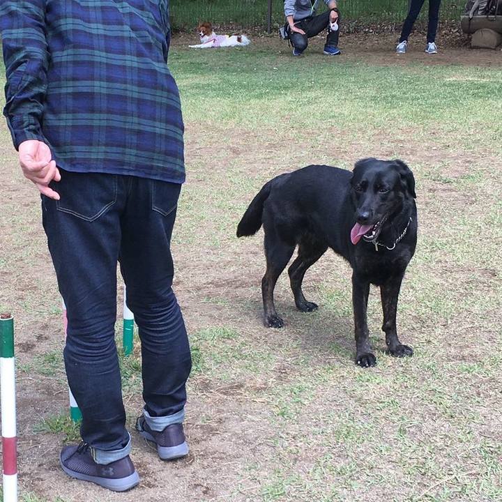 7d92c80c e4d0 4f99 9131 651ecc99faf5 1556684715838