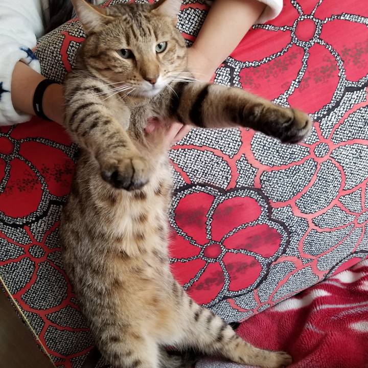 7d92cabb 006c 40bf b576 46819fa2bae4 1641472075698