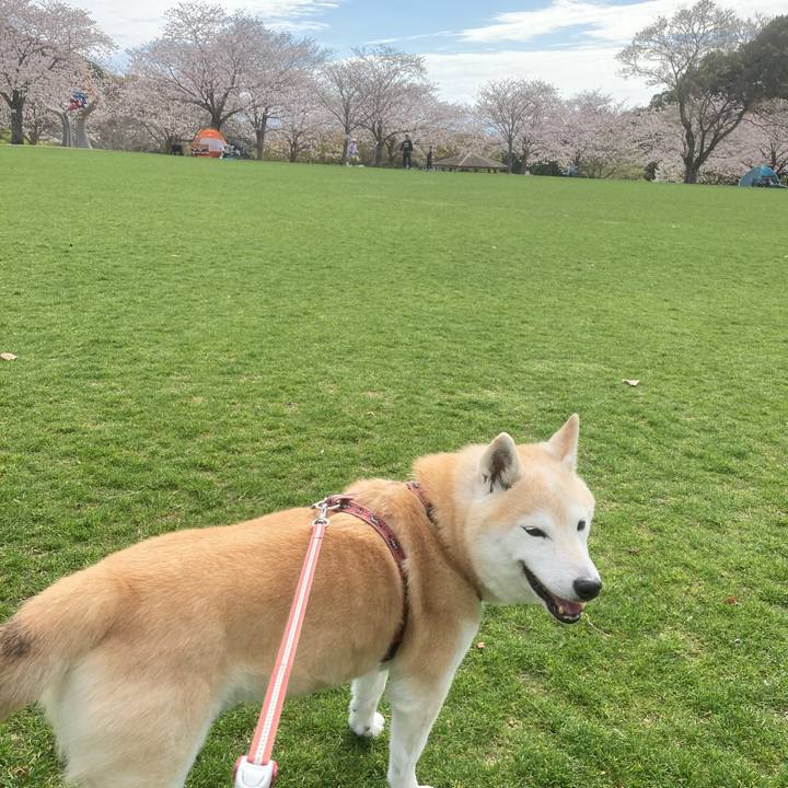 7d92df30 ee5b 4e15 a041 1ffe792e8eb6 1667484745275