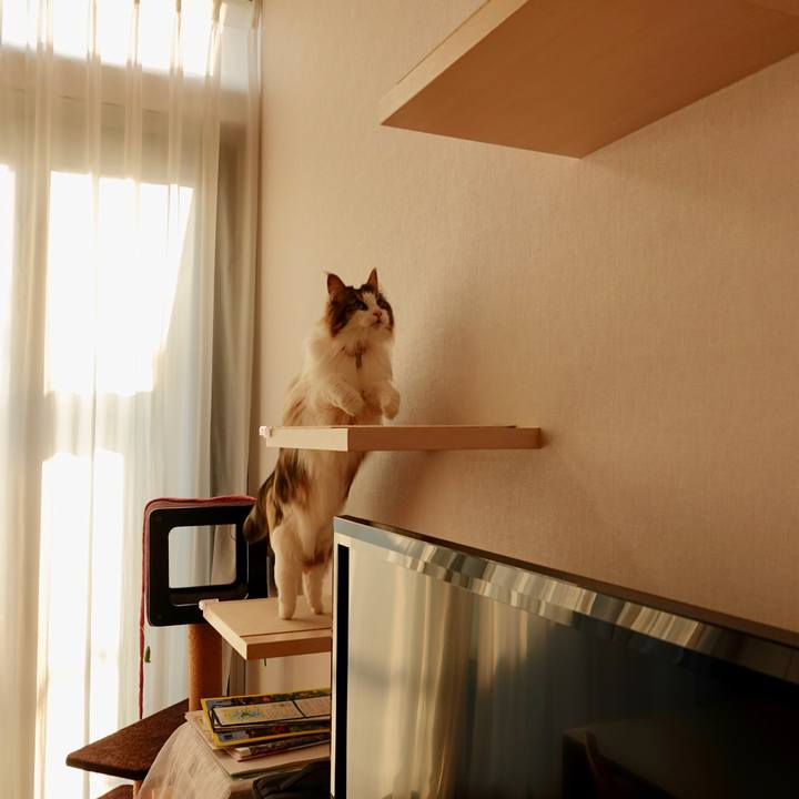 7d9311fd 7ce0 45a7 bec2 5a1e2a0c9480 1558179012115