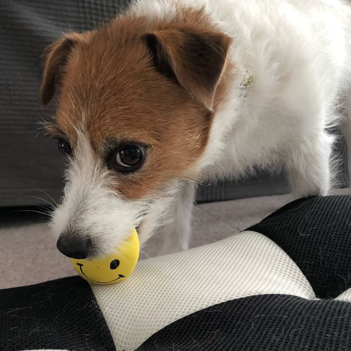 7d932cb9 a411 42da a439 ebe0faf35128 1594528589434