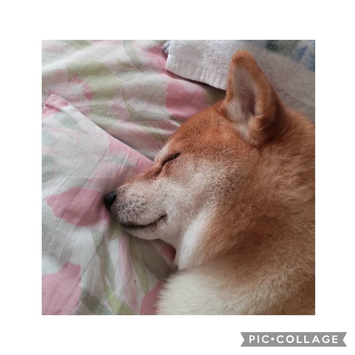 7d933253 edd4 42fb 9ebd 5a9bc59d617d 1760159065357