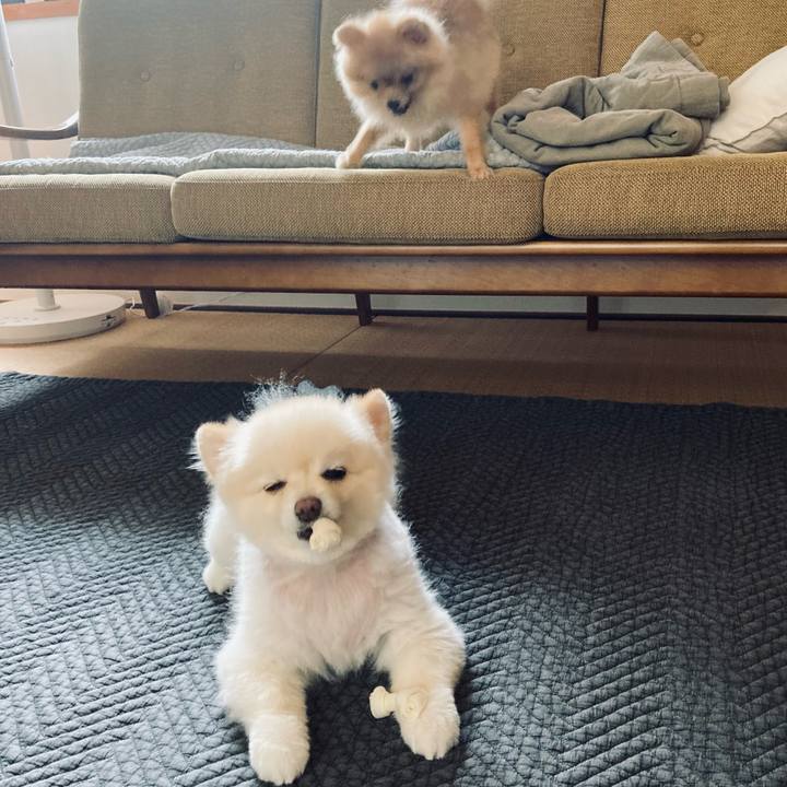 7d934fe1 0011 4e9d 9095 81f52248d7a9 1659950578311