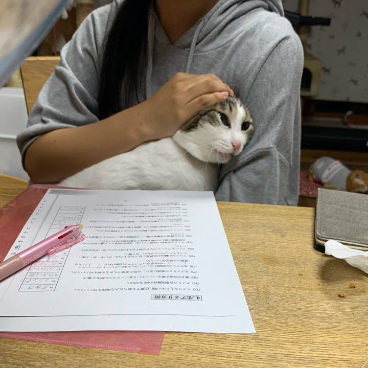 7d9352b3 289f 4ae0 b940 dbe49bce59ac 1626618217791