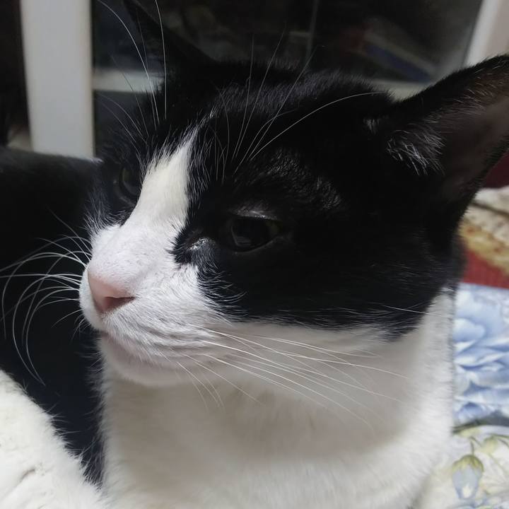 7d935334 1c5e 49da 919f 7da83d6c53bd 1579330671811