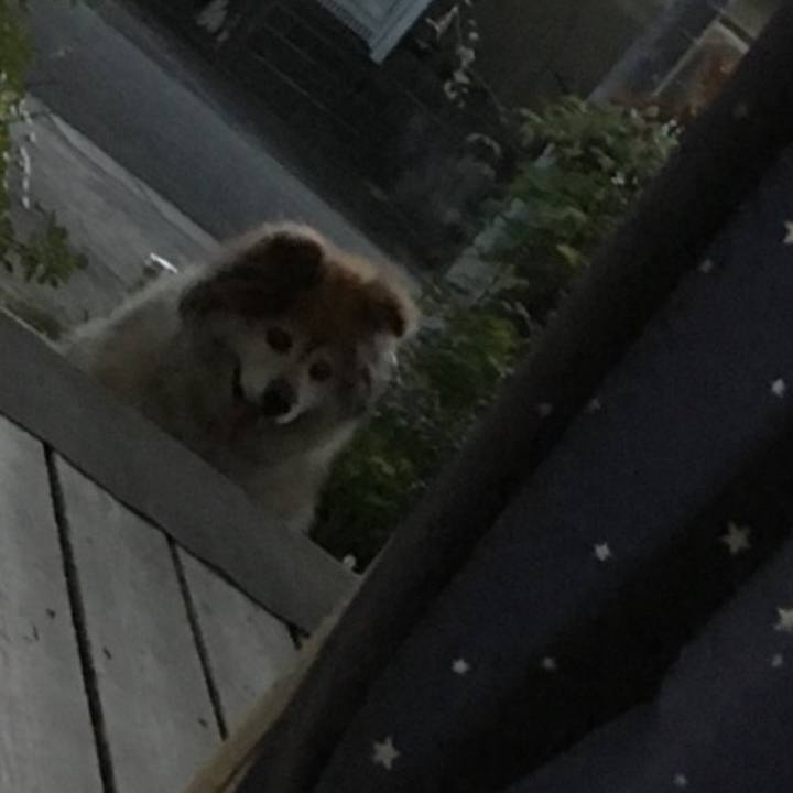 7d935453 5907 4772 ad43 368141240bd1 1560990484126