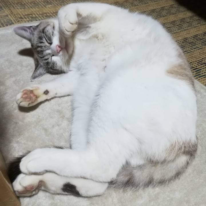 7d9391bb c093 4b05 8b0c 083251204da5 1547727885081