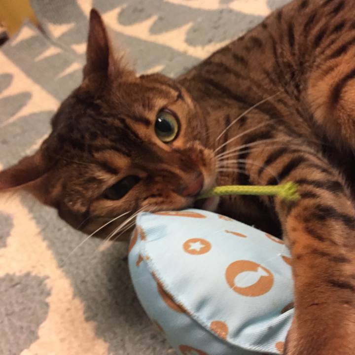 7d93c60f e91e 4d96 9c8a a79f91003942 1523682844090