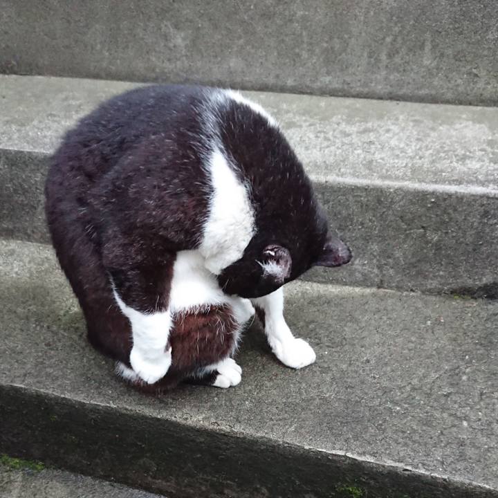 7d93e216 f428 44e8 a6bc fda50d6cb369 1591868604631