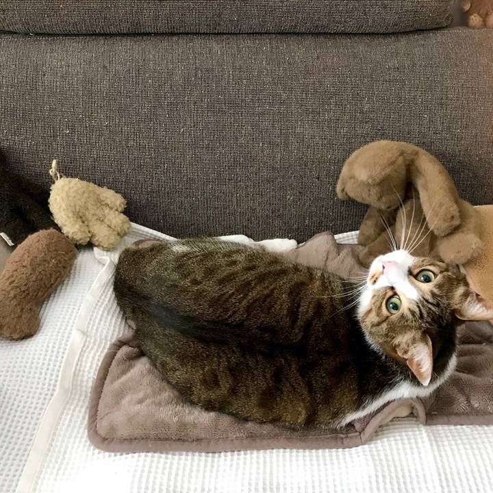 7d9403d9 8295 440c 866c 0c7b6f01e4d8 1524042972653