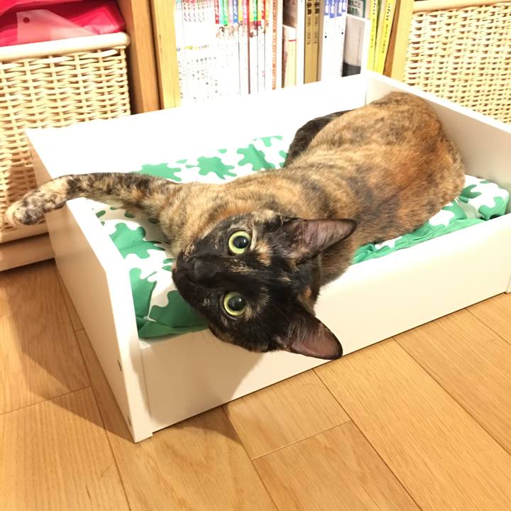 7d9411a6 0aa4 4b09 a2f4 562daffbbe01 1525221798181