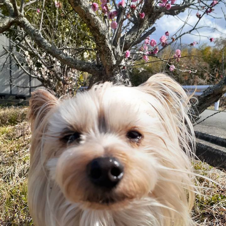 7d9439e1 c239 4686 9676 2daca34d9b37 1646543974997