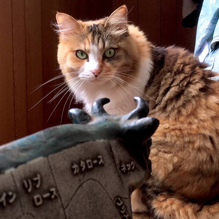 7d946b26 6225 4f56 aed3 278d15cc0f10 1599116627034