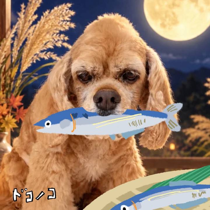 7d946fec e87b 436b 8a26 5057fb7f790e 1789744075676
