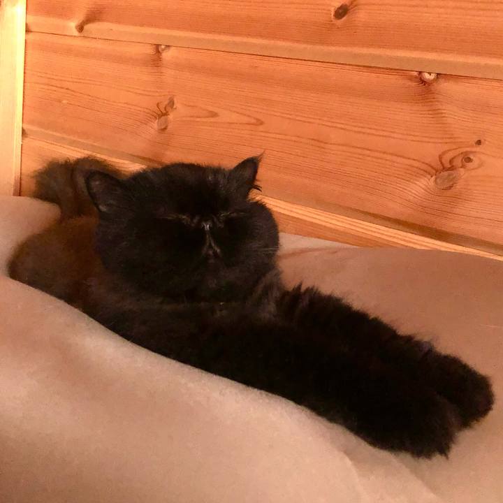 7d949cd9 4a0a 4dde 9a67 115e2d34d457 1665871203717