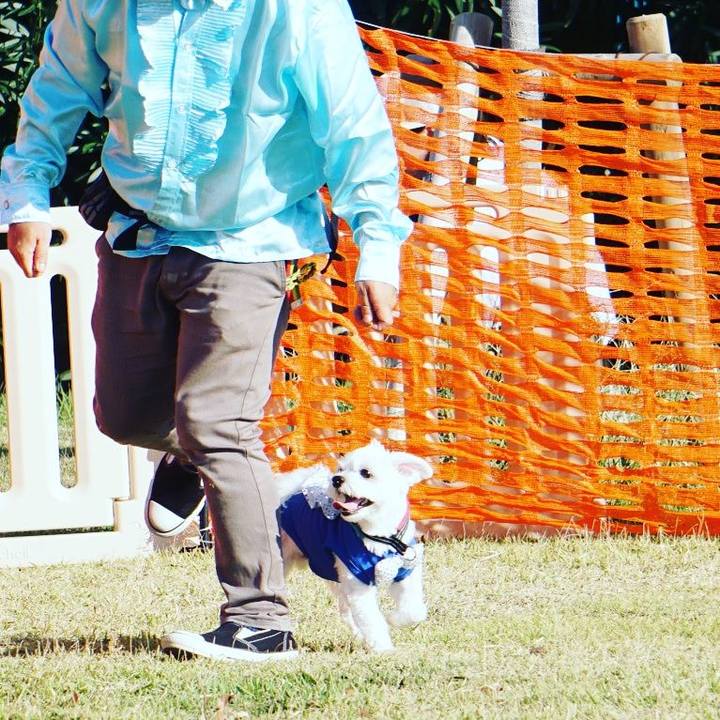 7d94cb59 5a42 48f1 98a1 93c4bd401ccb 1538896723878